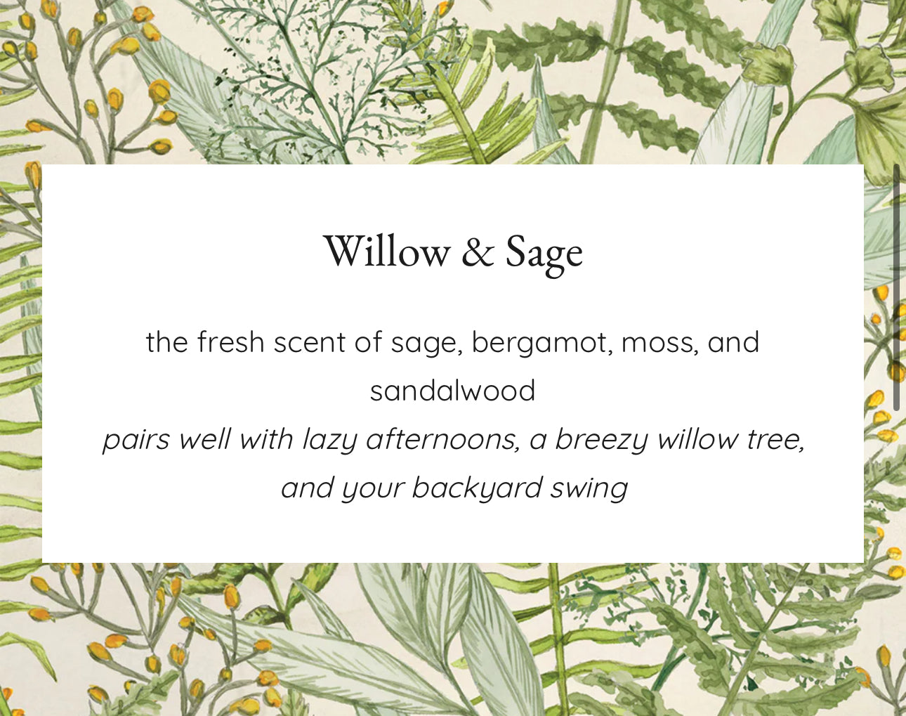Greenleaf Sachet- Willow & Sage